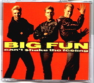 Big Fun - Can't Shake The Feeling